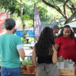 Street Food Festival en la ciudad de Santiago de los Caballeros