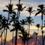 Sunrise, amanecer,Paradisus Palma Real, Hotel Piscina, Pool, Royal Service, Luxury, confort, Punta Cana, Cadena Melia, Hoteles Melia
