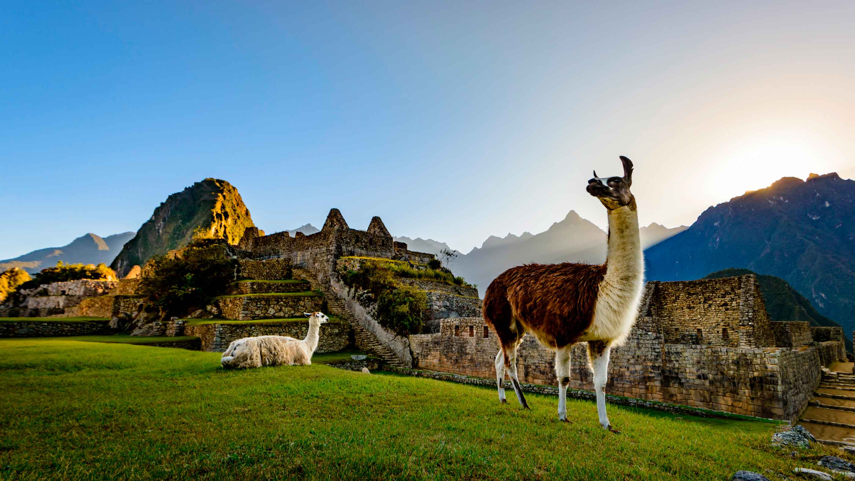 Milás Kitchen y TravelShop NEX organizan tour gastronómico hacia Perú y Colombia