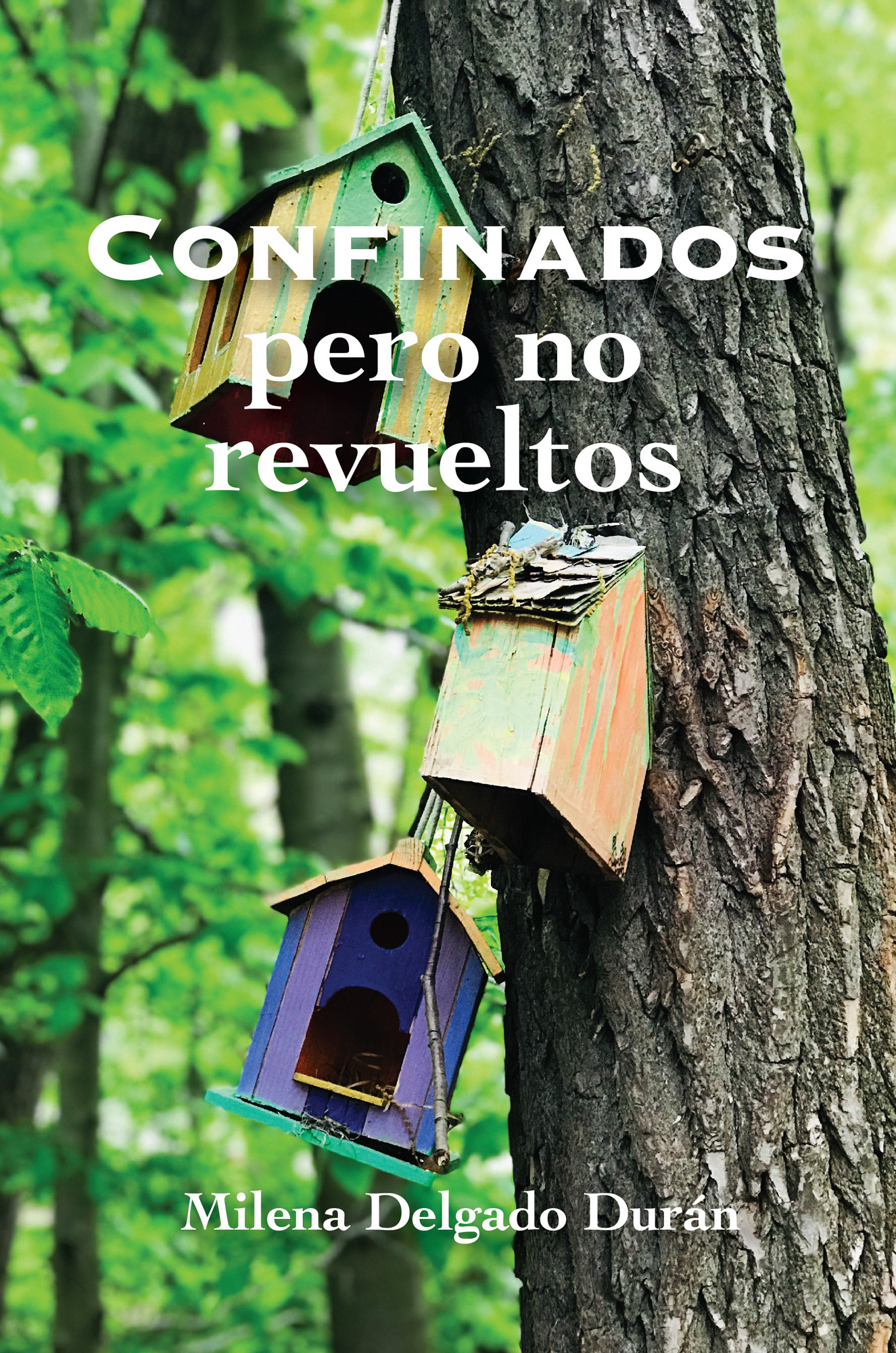 “Confinados, pero no revueltos” la nueva entrega de la escritora Milena Delgado Durán